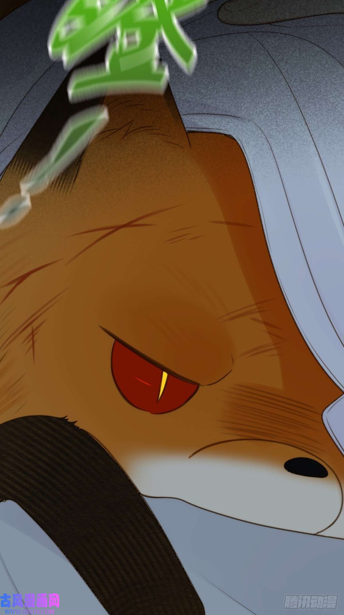 只有尾巴不可以！突然的暴走