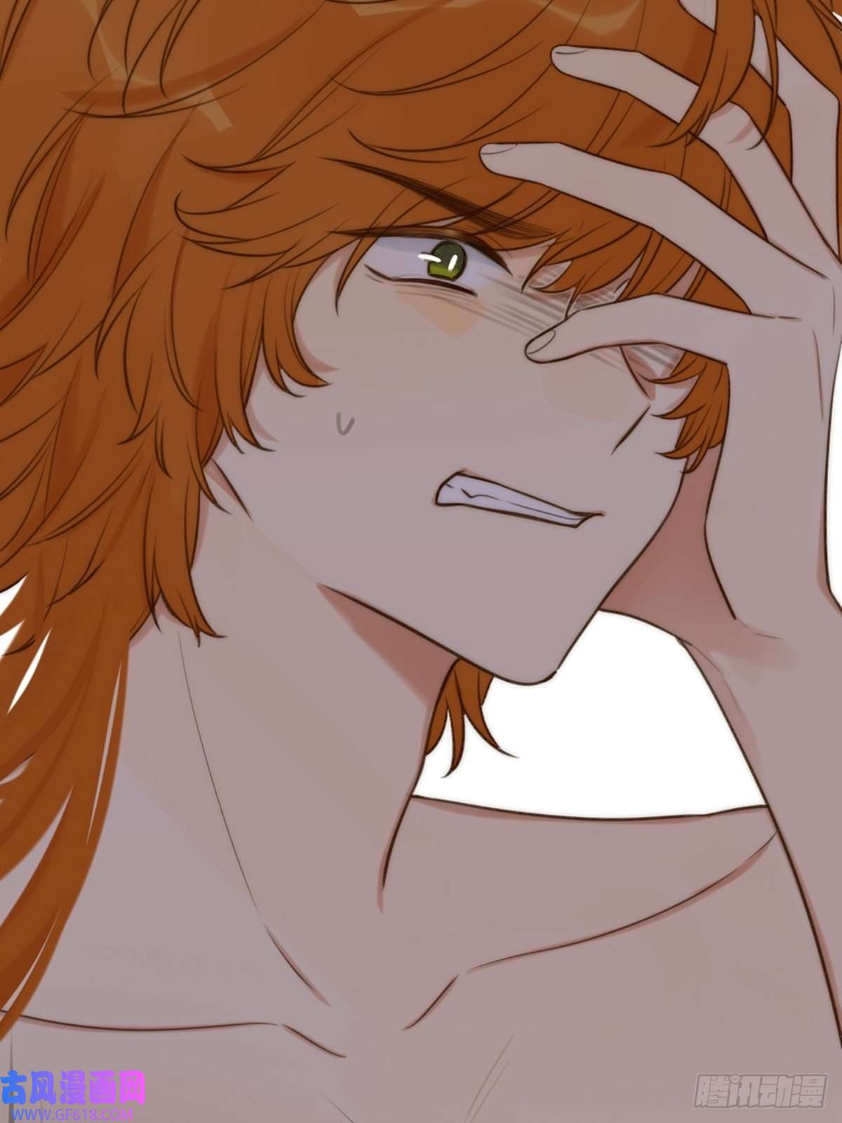 只有尾巴不可以！我不该让你疼