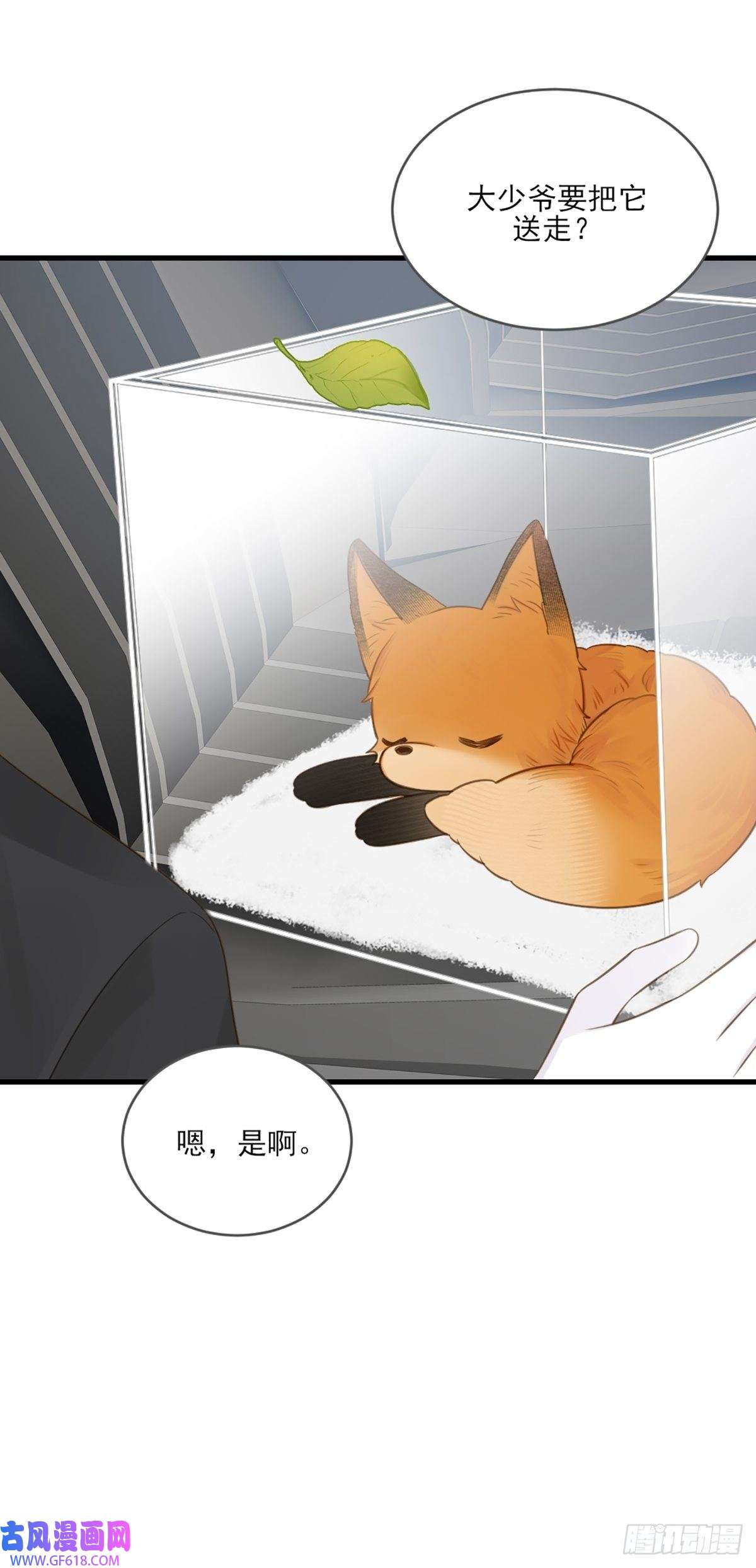 只有尾巴不可以！我不该让你疼