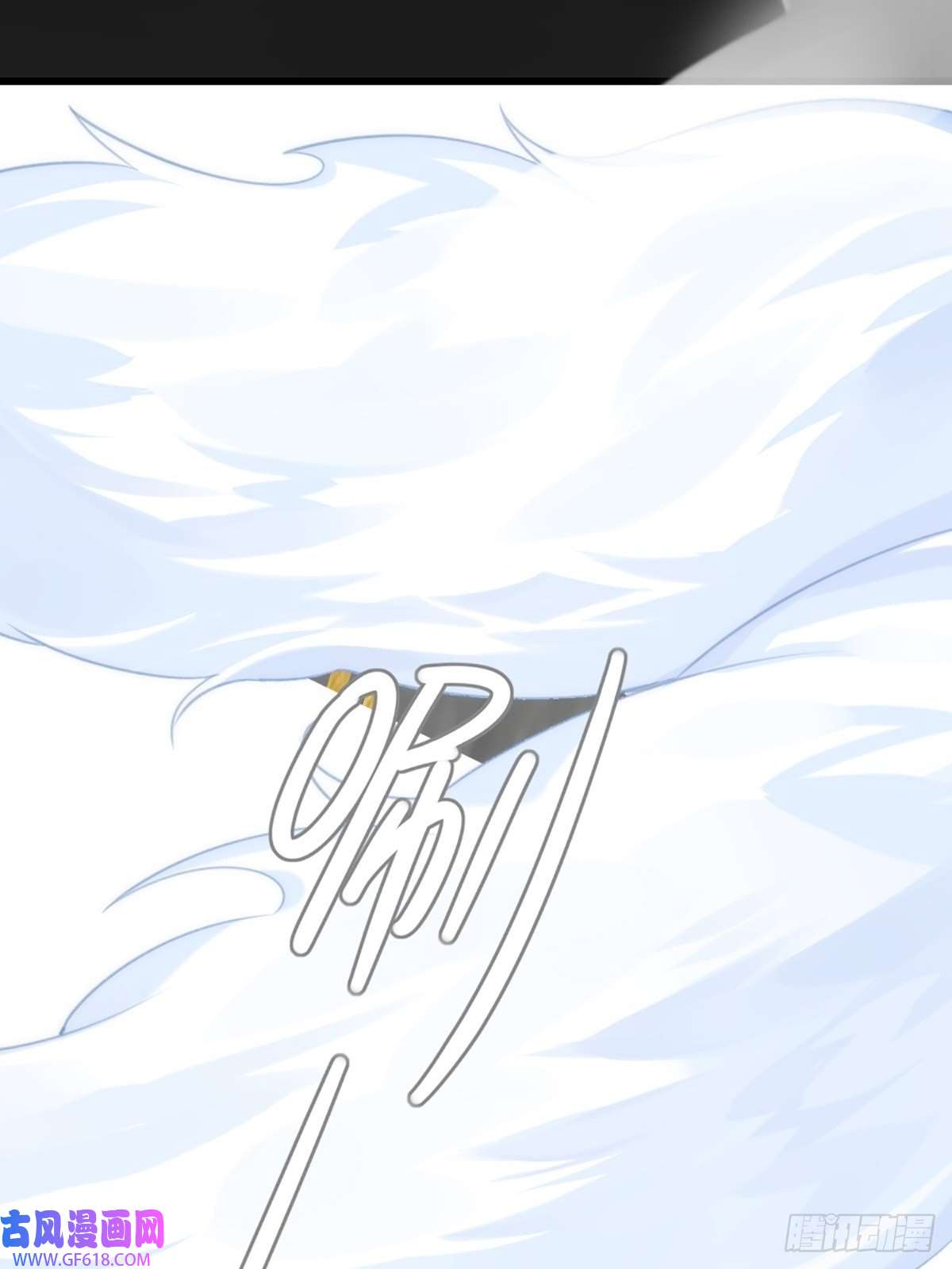 只有尾巴不可以！助攻出现？