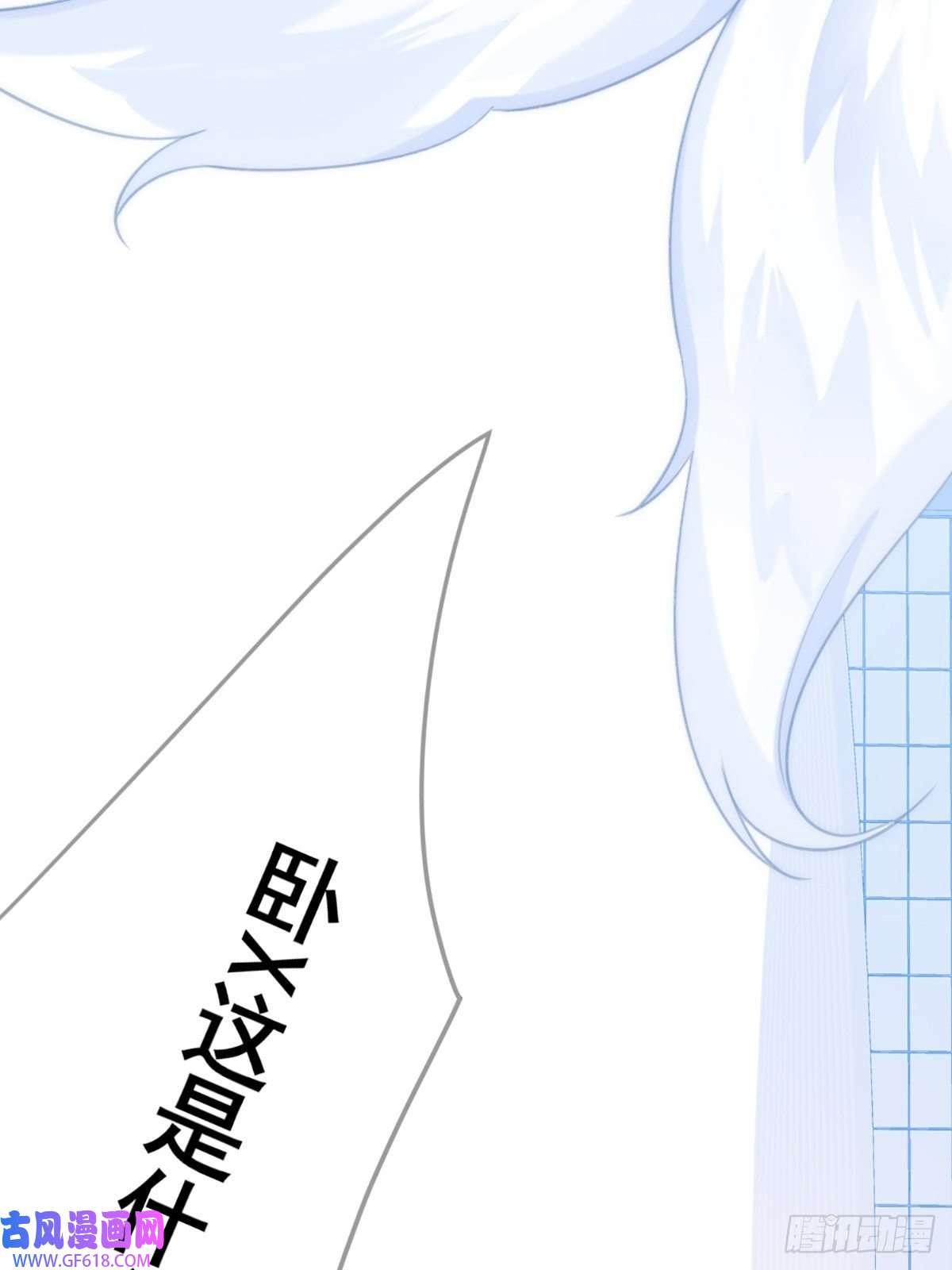 只有尾巴不可以！助攻出现？