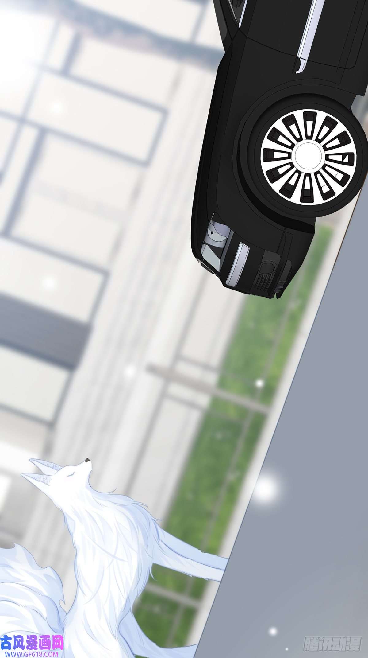 只有尾巴不可以！助攻出现？