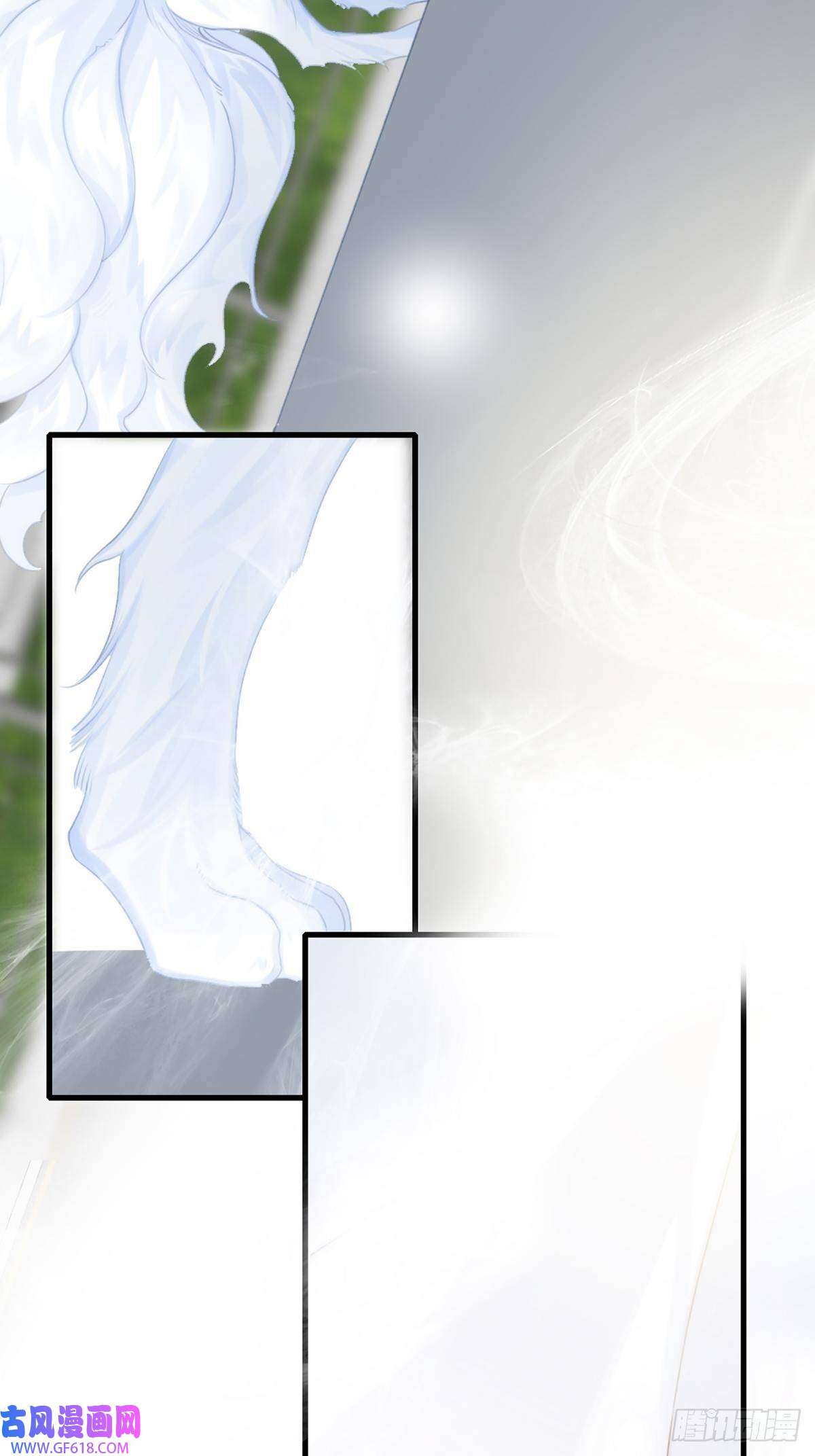 只有尾巴不可以！助攻出现？