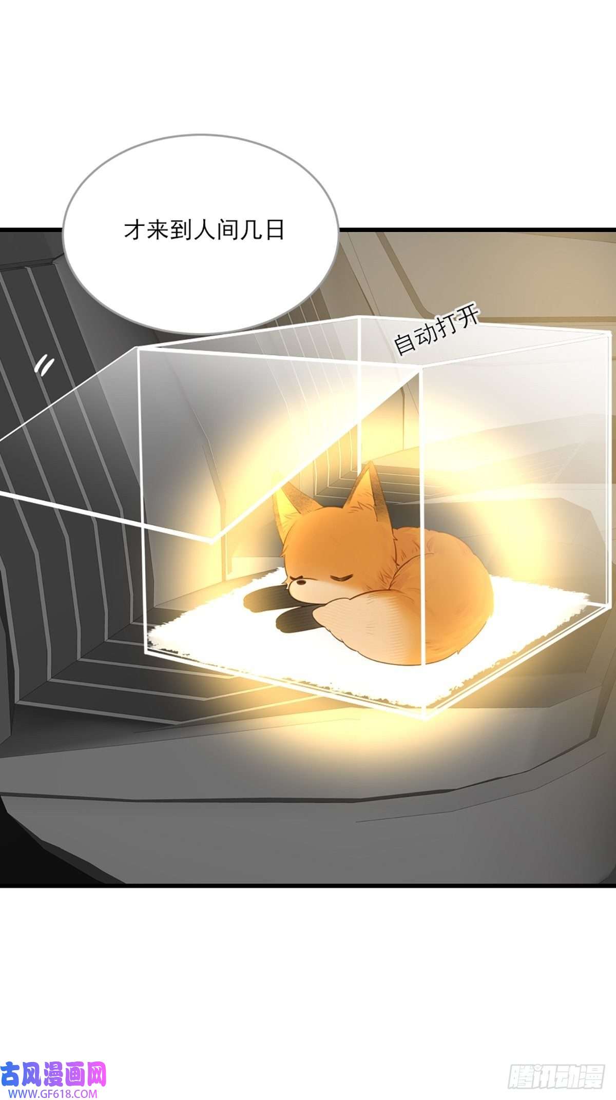 只有尾巴不可以！助攻出现？