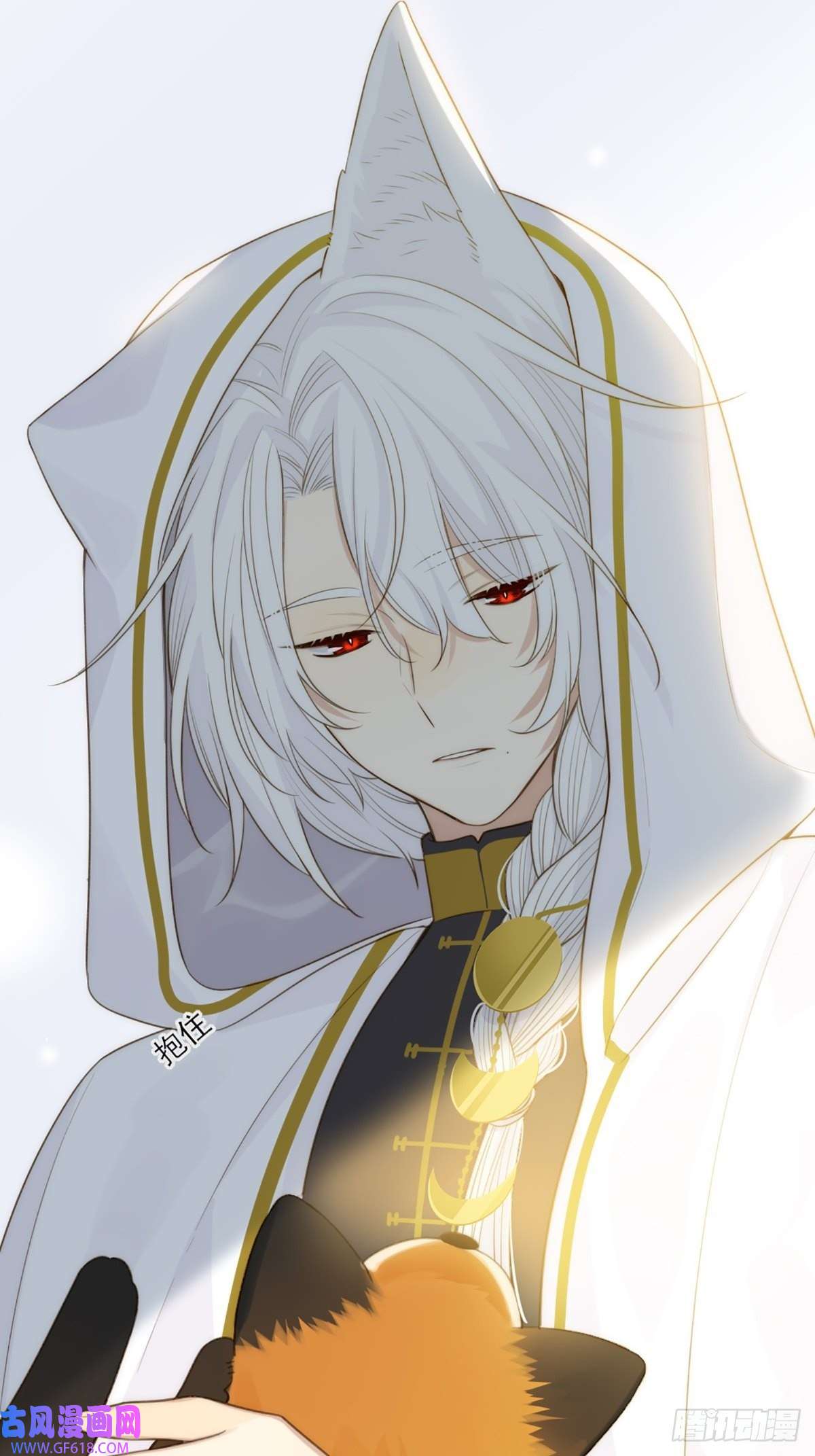 只有尾巴不可以！助攻出现？