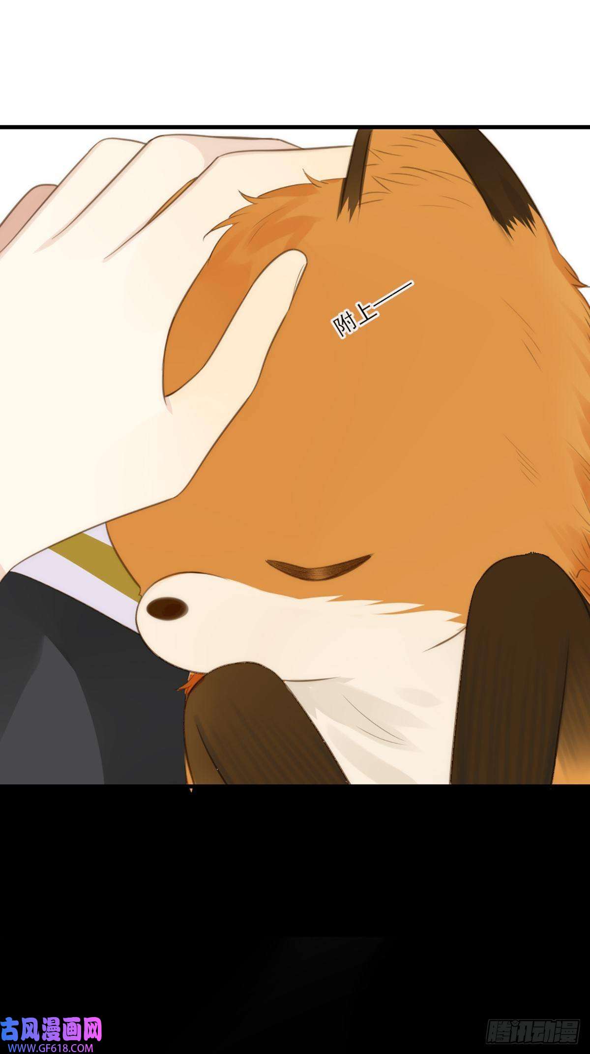 只有尾巴不可以！助攻出现？