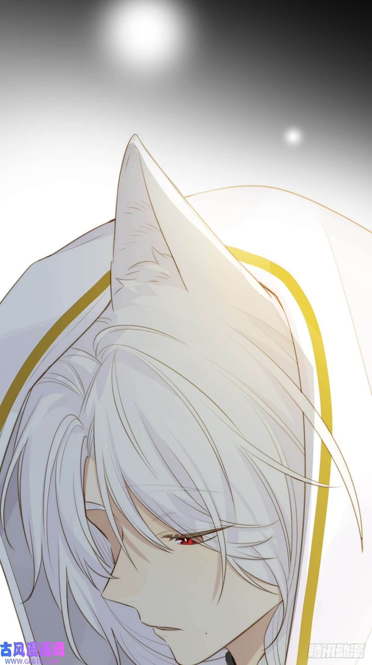 只有尾巴不可以！助攻出现？