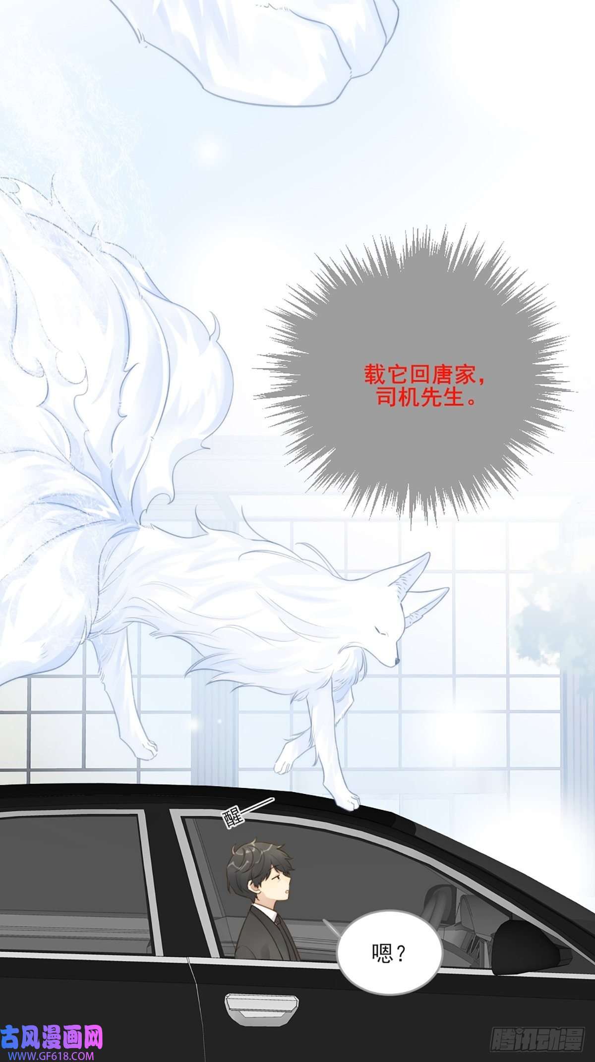 只有尾巴不可以！助攻出现？