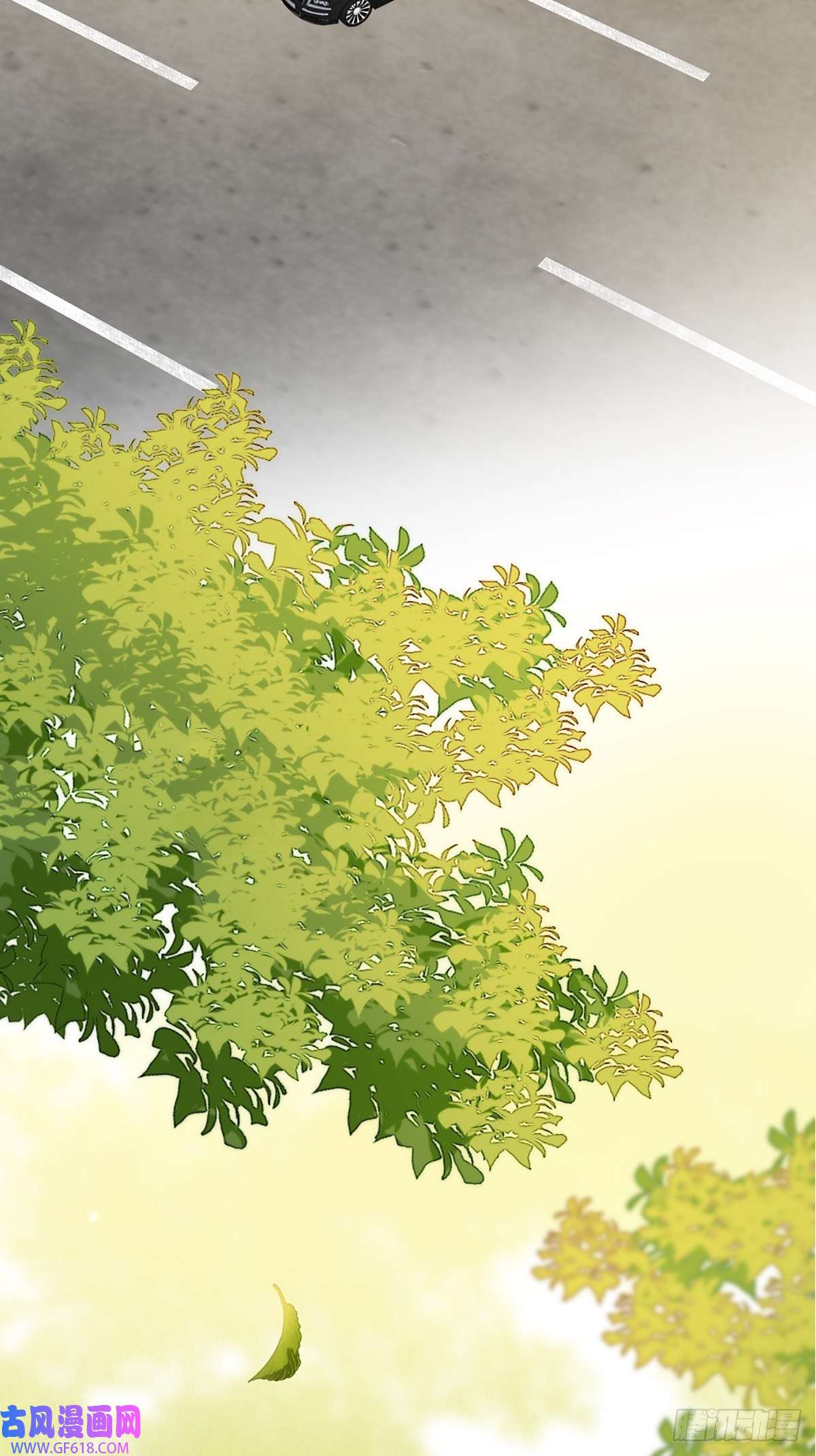 只有尾巴不可以！助攻出现？