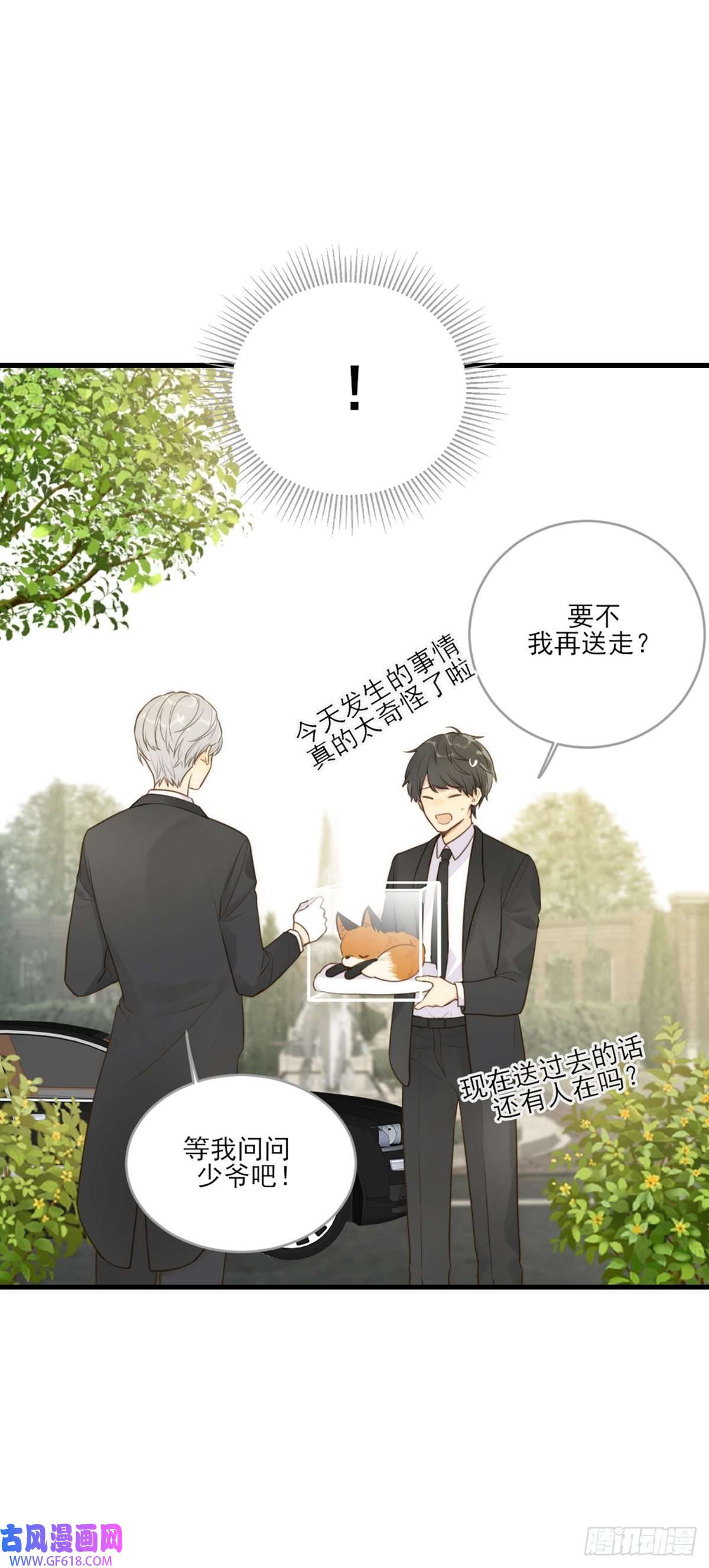 只有尾巴不可以！助攻出现？