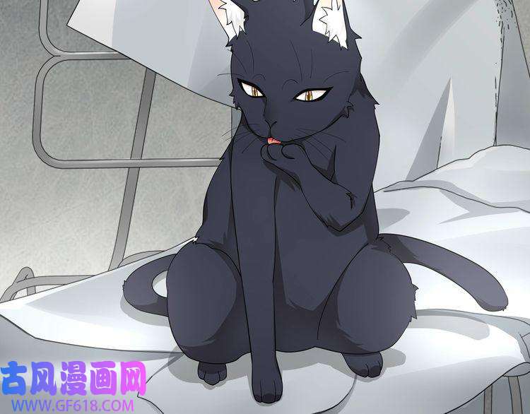 超电波战争第112话 恶狼与黑猫！