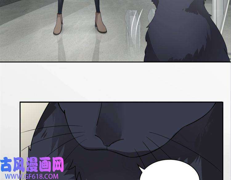 超电波战争第112话 恶狼与黑猫！