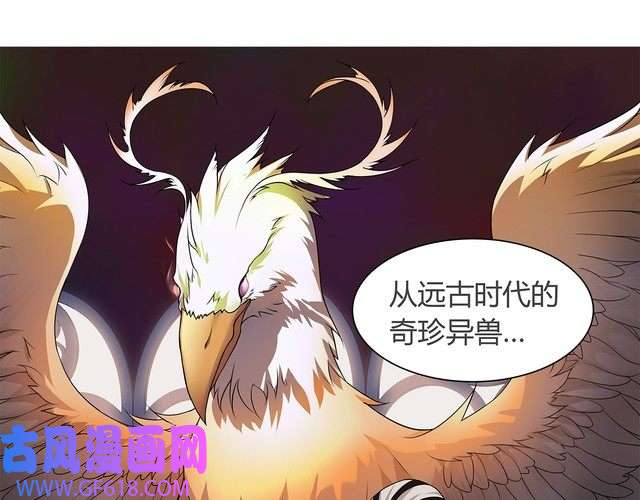 超电波战争第7话 超电波卡持有者