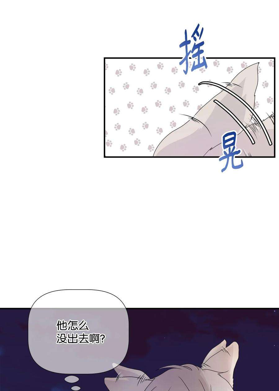 虽然是狼，但不会伤害你02 初见罗蒙