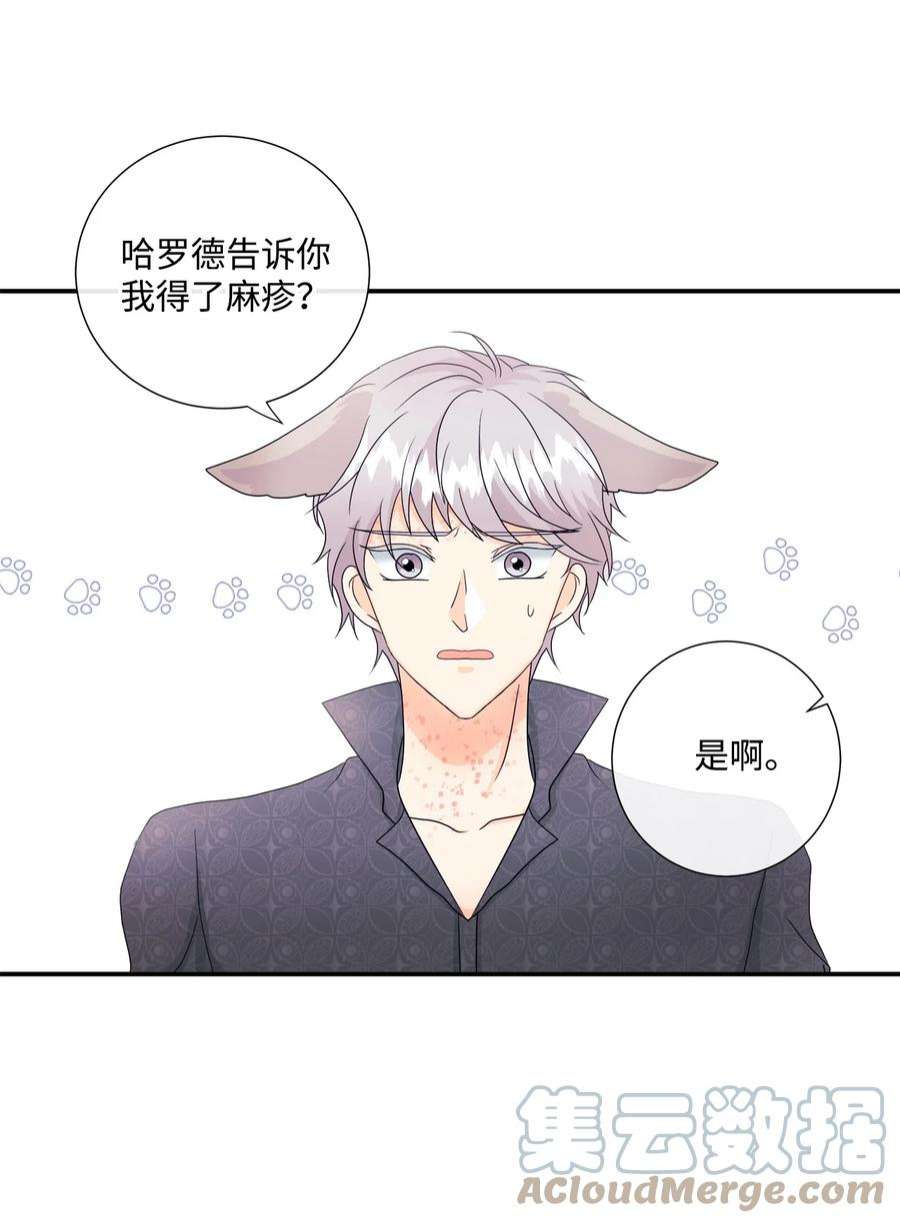 虽然是狼，但不会伤害你07 还是好朋友