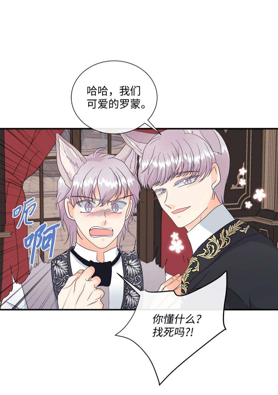 虽然是狼，但不会伤害你10 残酷的爱情