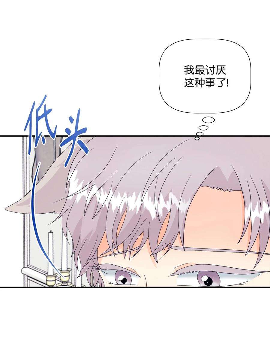 虽然是狼，但不会伤害你10 残酷的爱情