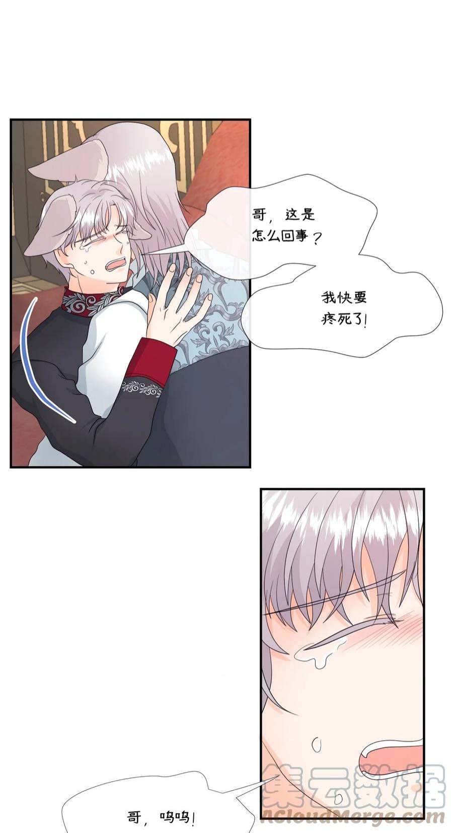 虽然是狼，但不会伤害你12 相思病