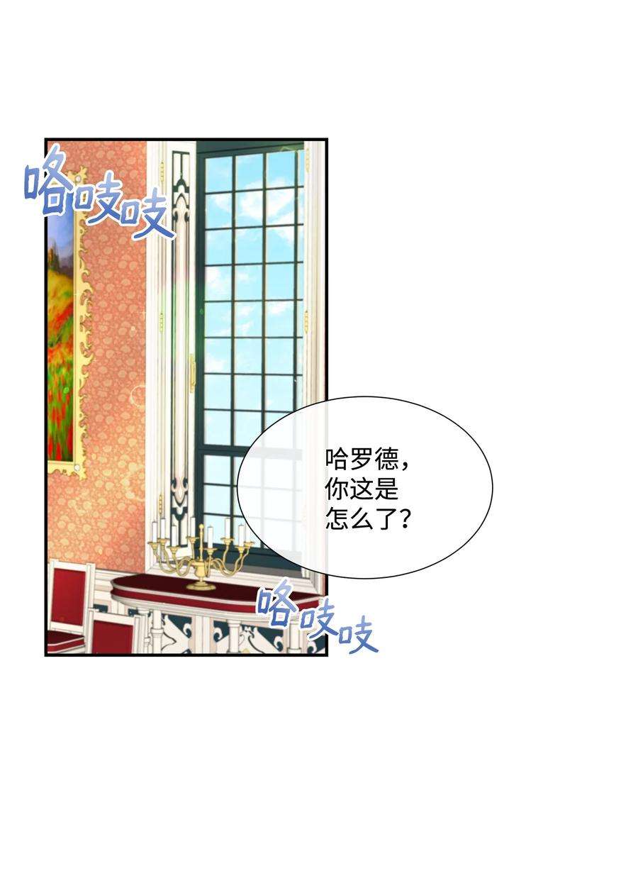 虽然是狼，但不会伤害你13 狼兄弟的爱情