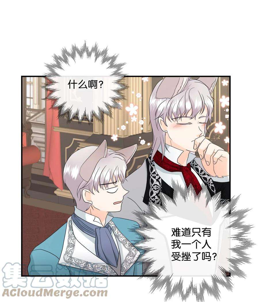 虽然是狼，但不会伤害你13 狼兄弟的爱情