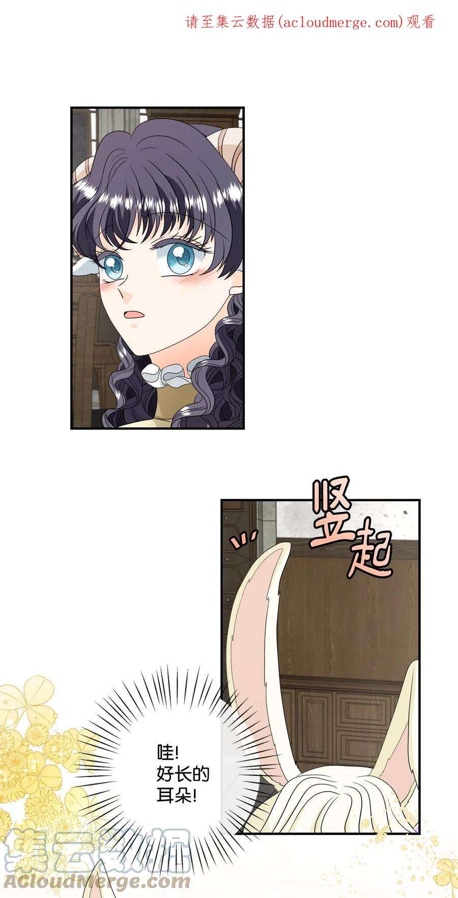 虽然是狼，但不会伤害你19 新朋友