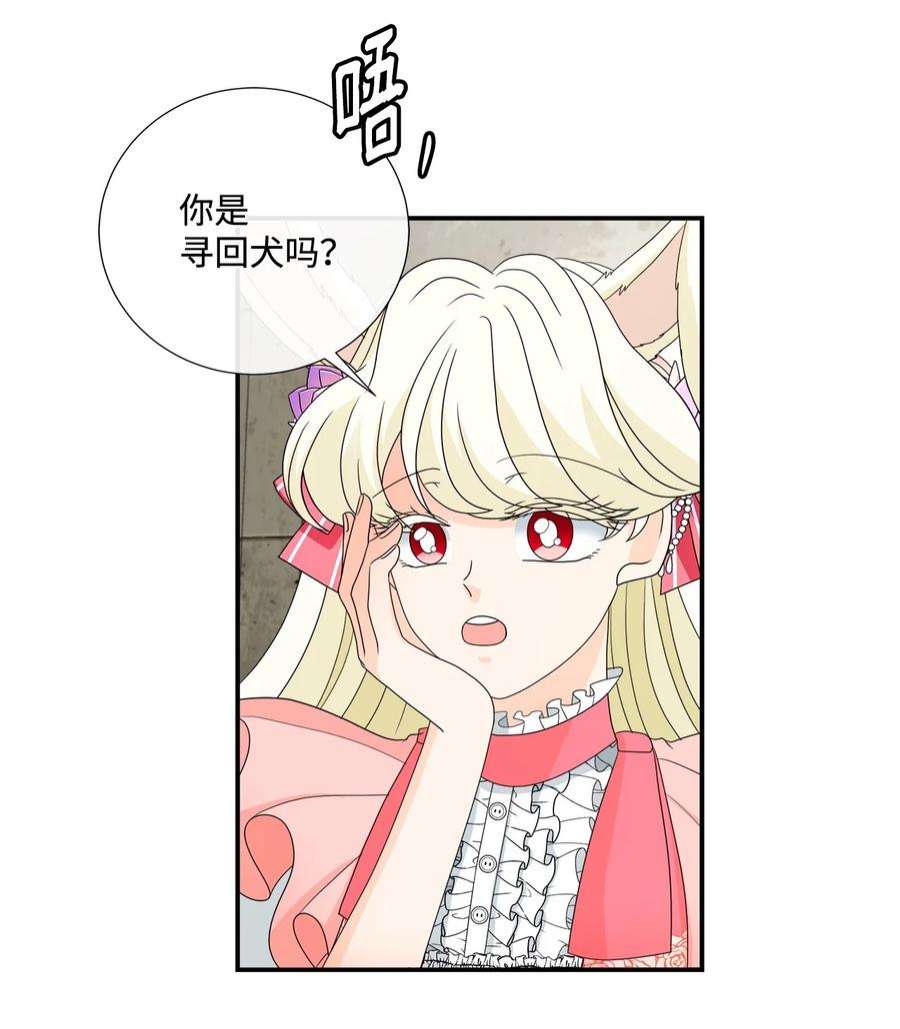 虽然是狼，但不会伤害你19 新朋友