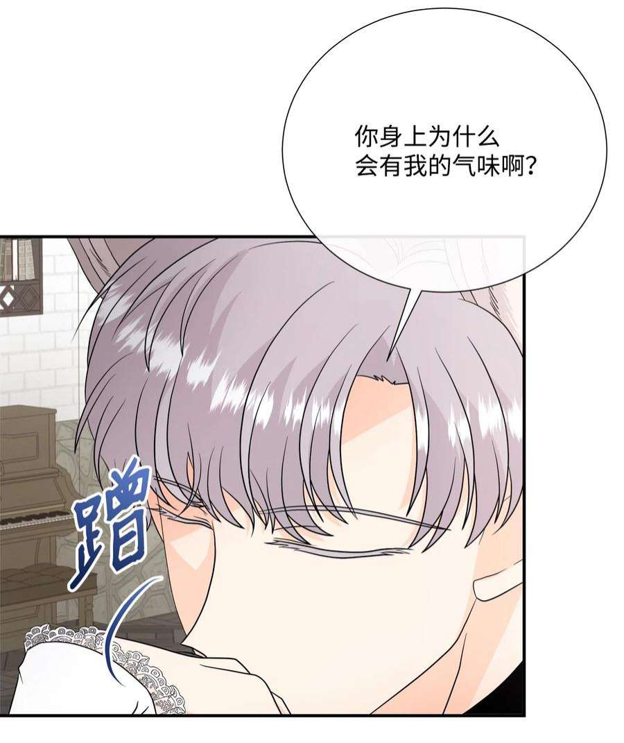 虽然是狼，但不会伤害你26 吃素的原因