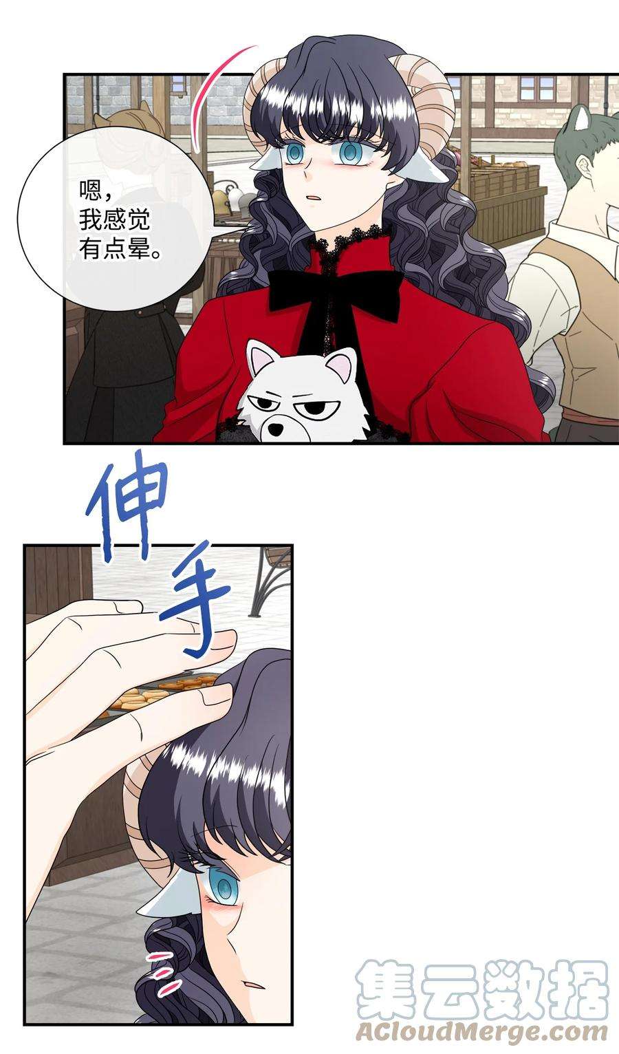 虽然是狼，但不会伤害你28 感恩节前夜