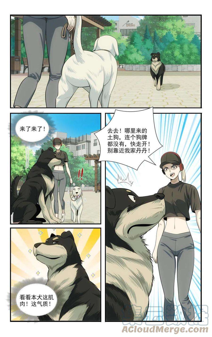 我被系统托管了69 两条狗