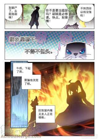 氪金成仙58 菜猫