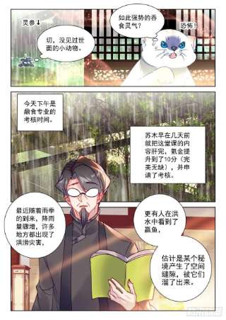 氪金成仙58 菜猫