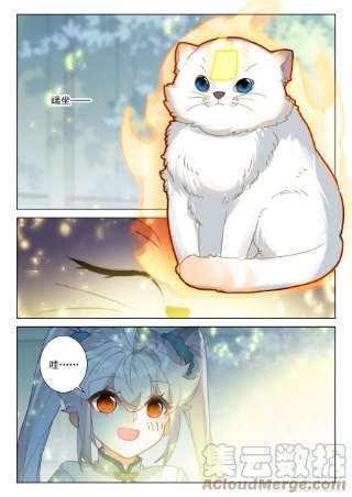 氪金成仙58 菜猫