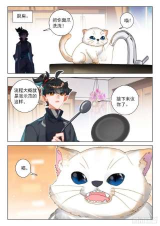 氪金成仙58 菜猫
