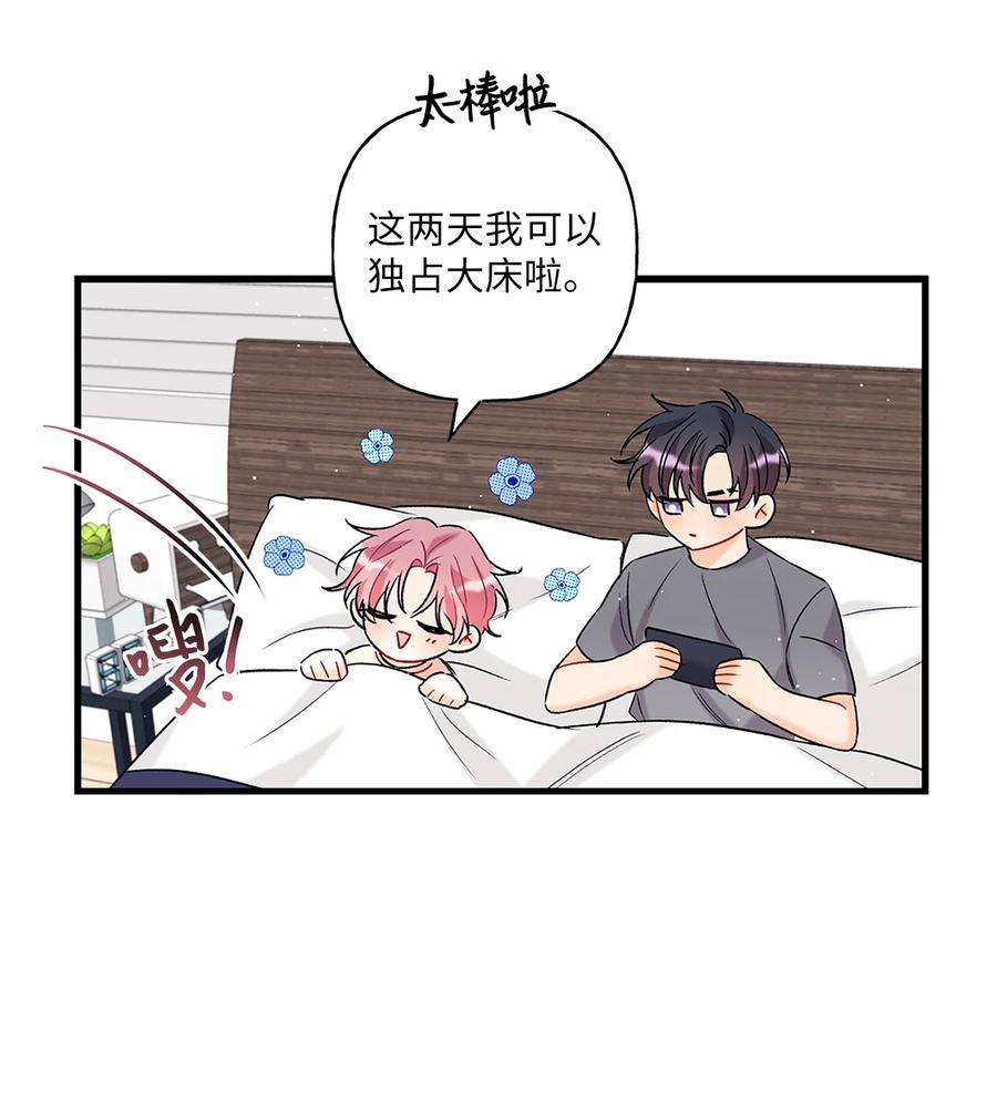 顶流男团的私生活03 执拗