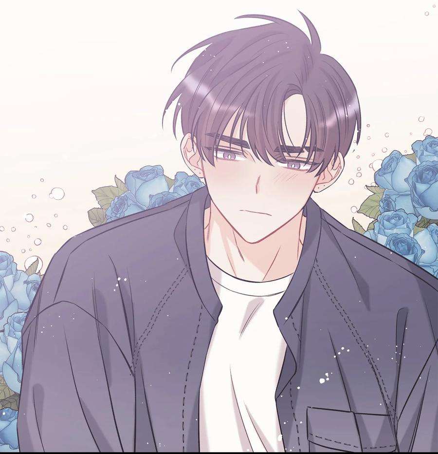 顶流男团的私生活12 瓦解