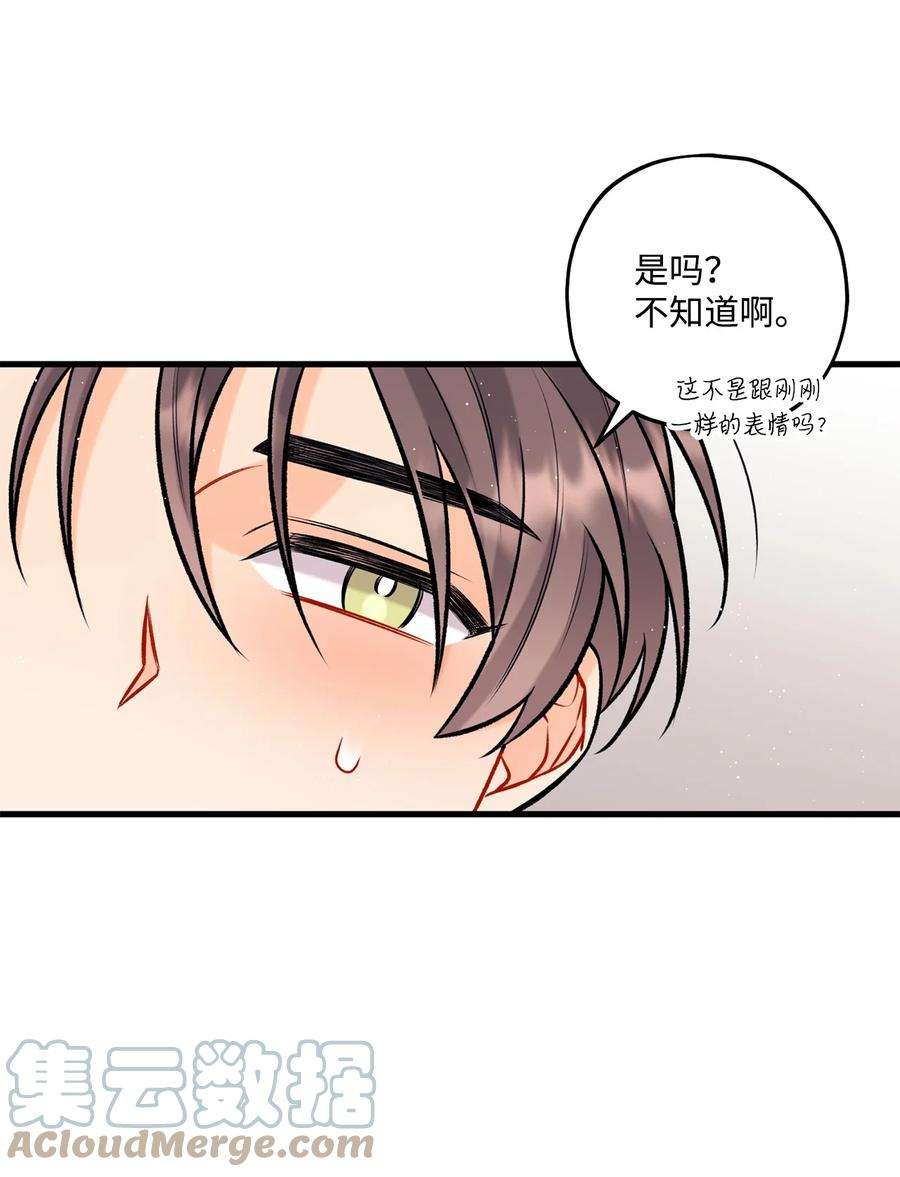 顶流男团的私生活28 被丢弃的狗狗