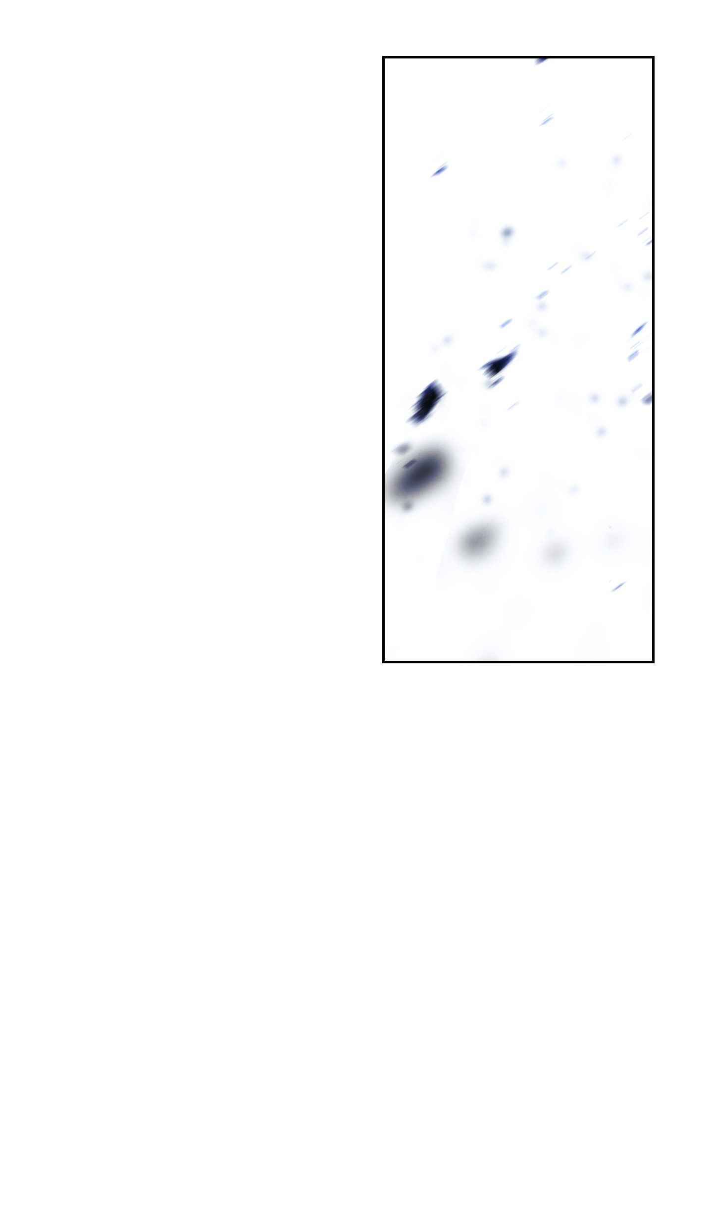 异世界开挂升级中44 背后捅刀