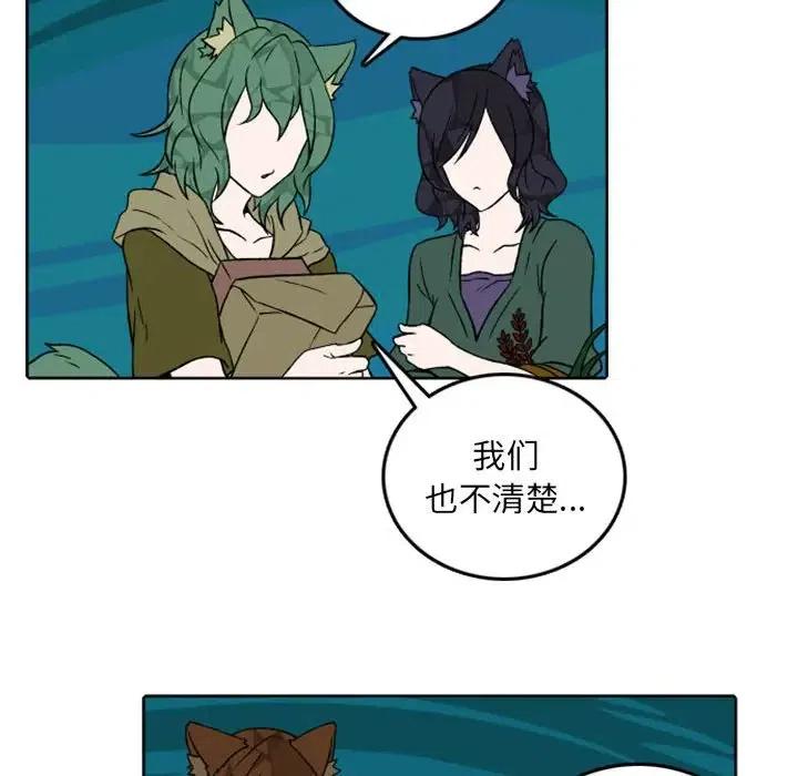 英雄战线41
