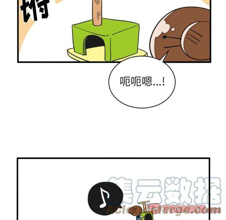 疯狂兄妹67