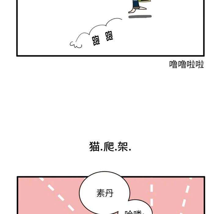 疯狂兄妹67