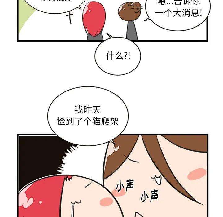 疯狂兄妹67