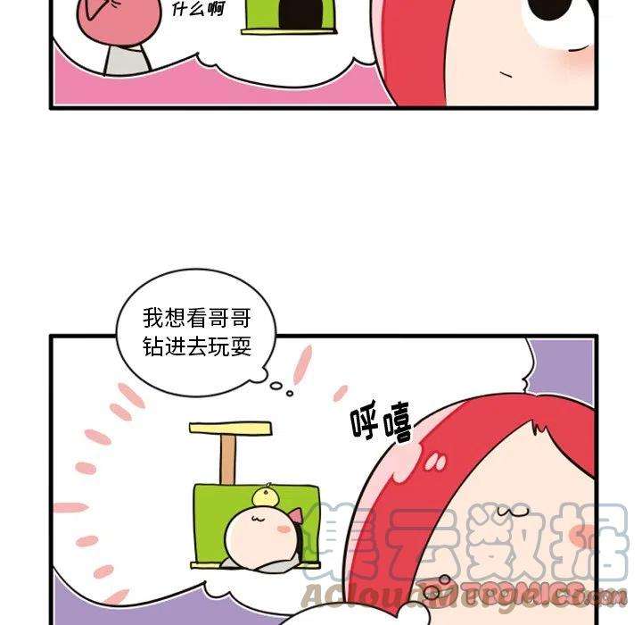 疯狂兄妹67