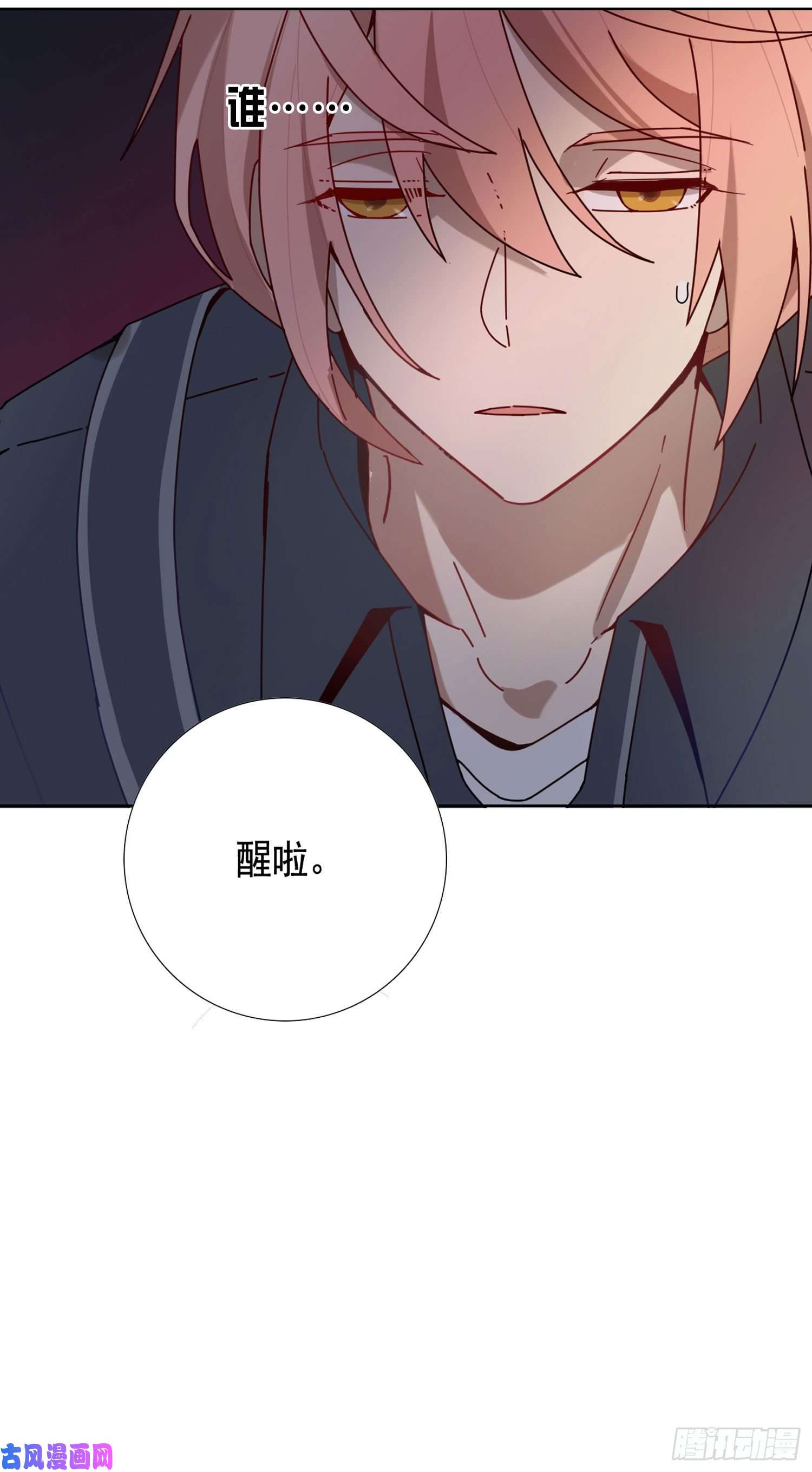 无法抑制的本能我就是法律本身