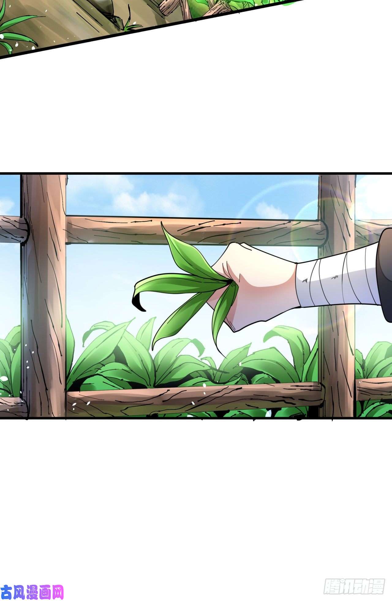 没有道侣就会死第8话 合欢散