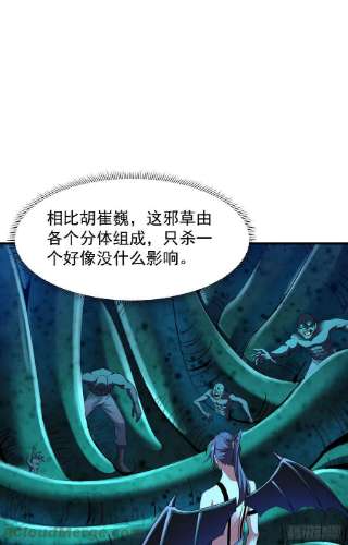 没有道侣就会死31话 无双之战