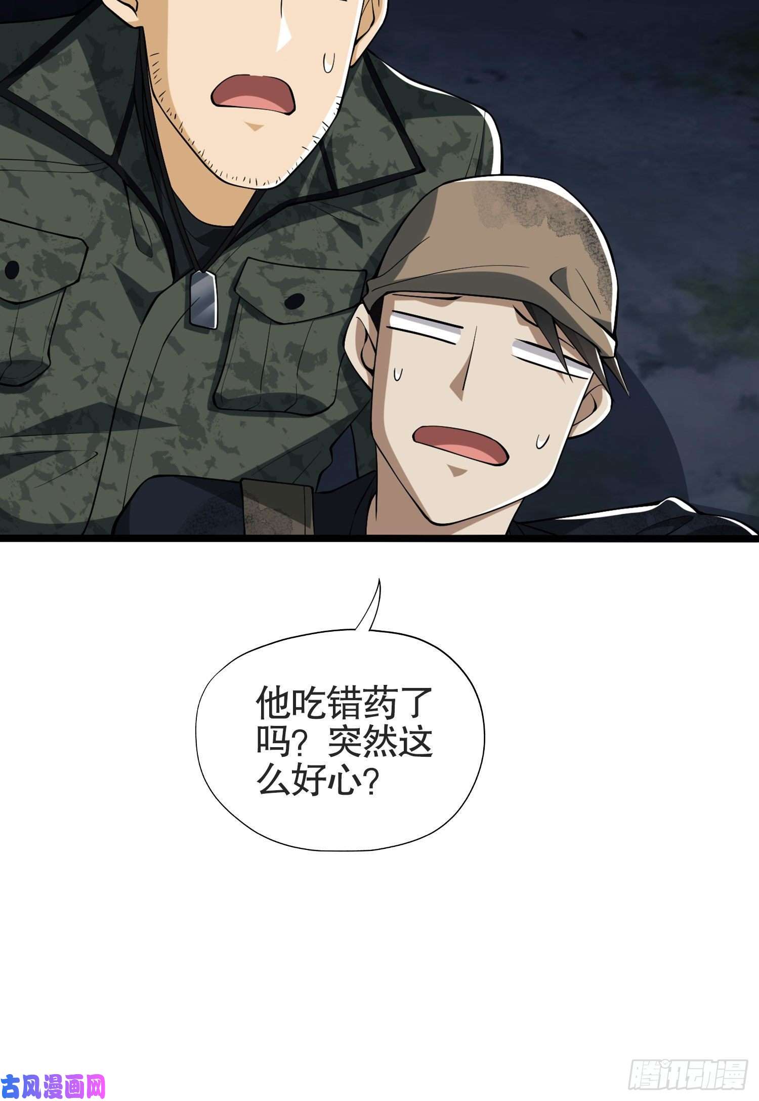 第一序列25 猪撞树上了