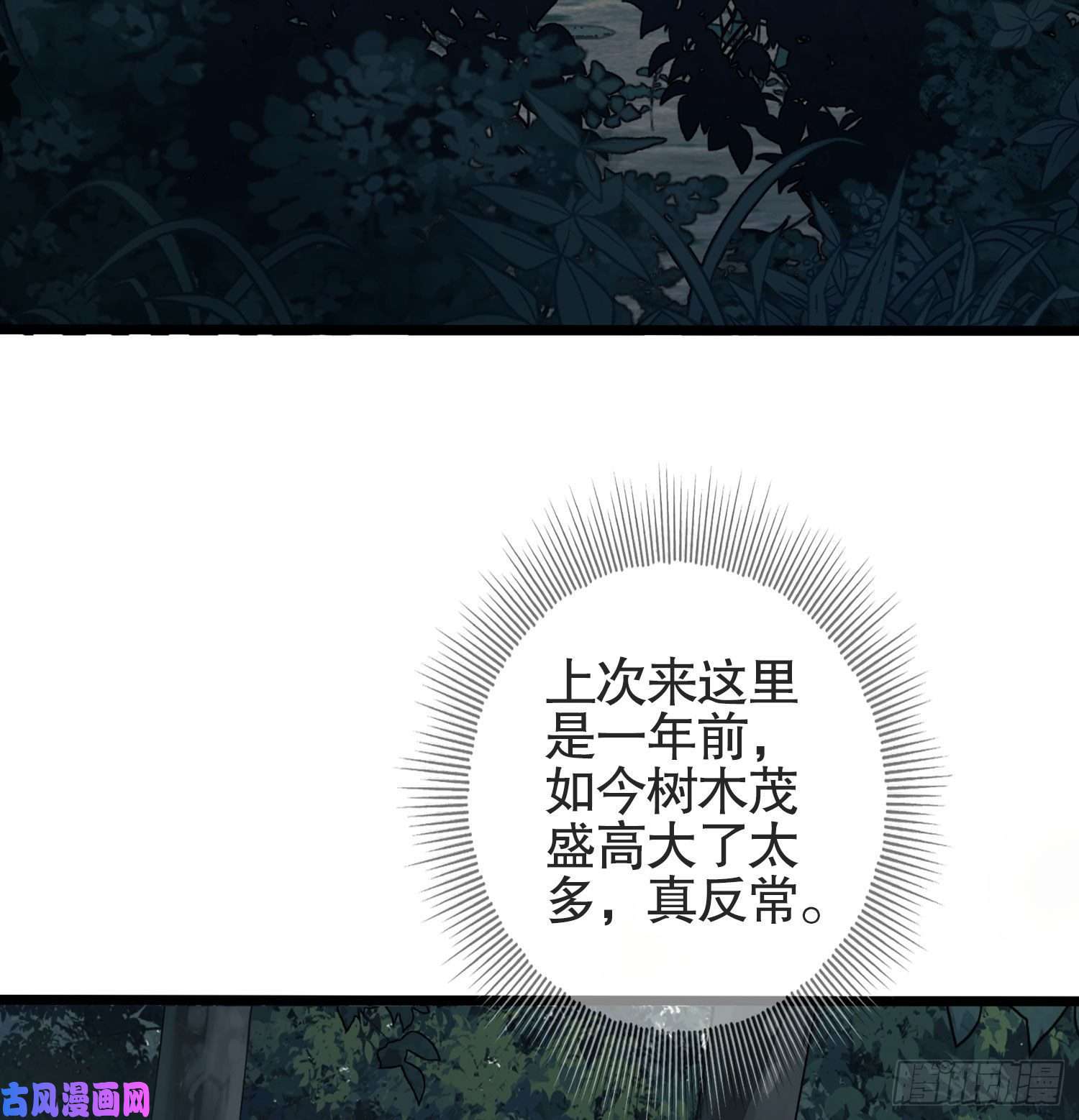第一序列25 猪撞树上了