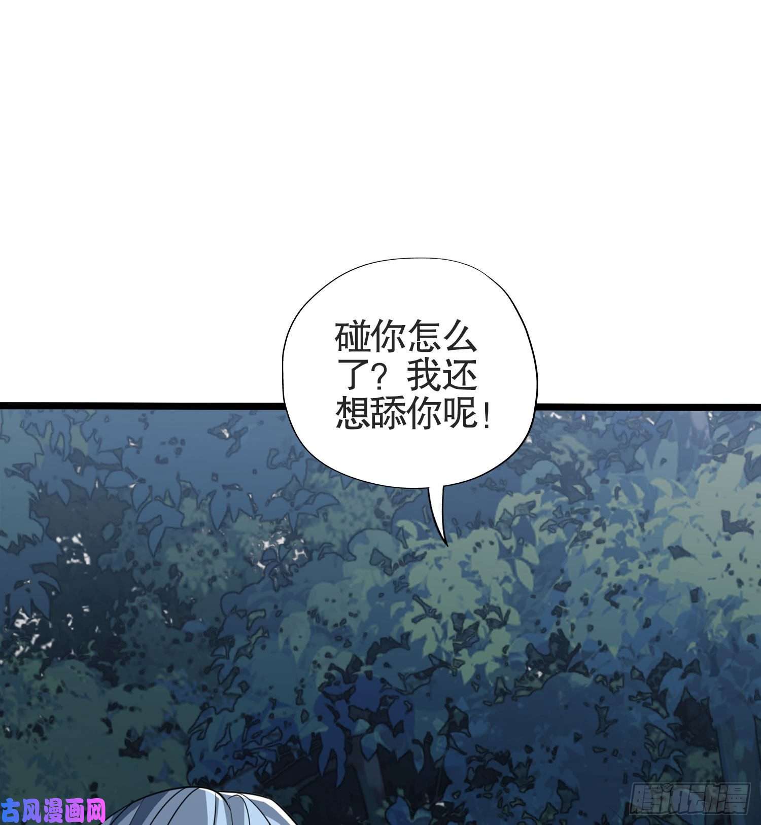 第一序列25 猪撞树上了