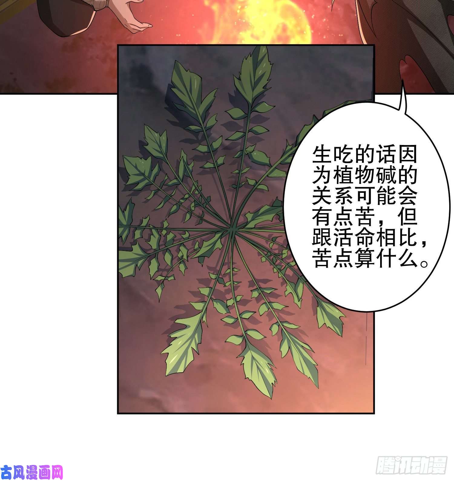 第一序列53 野菜