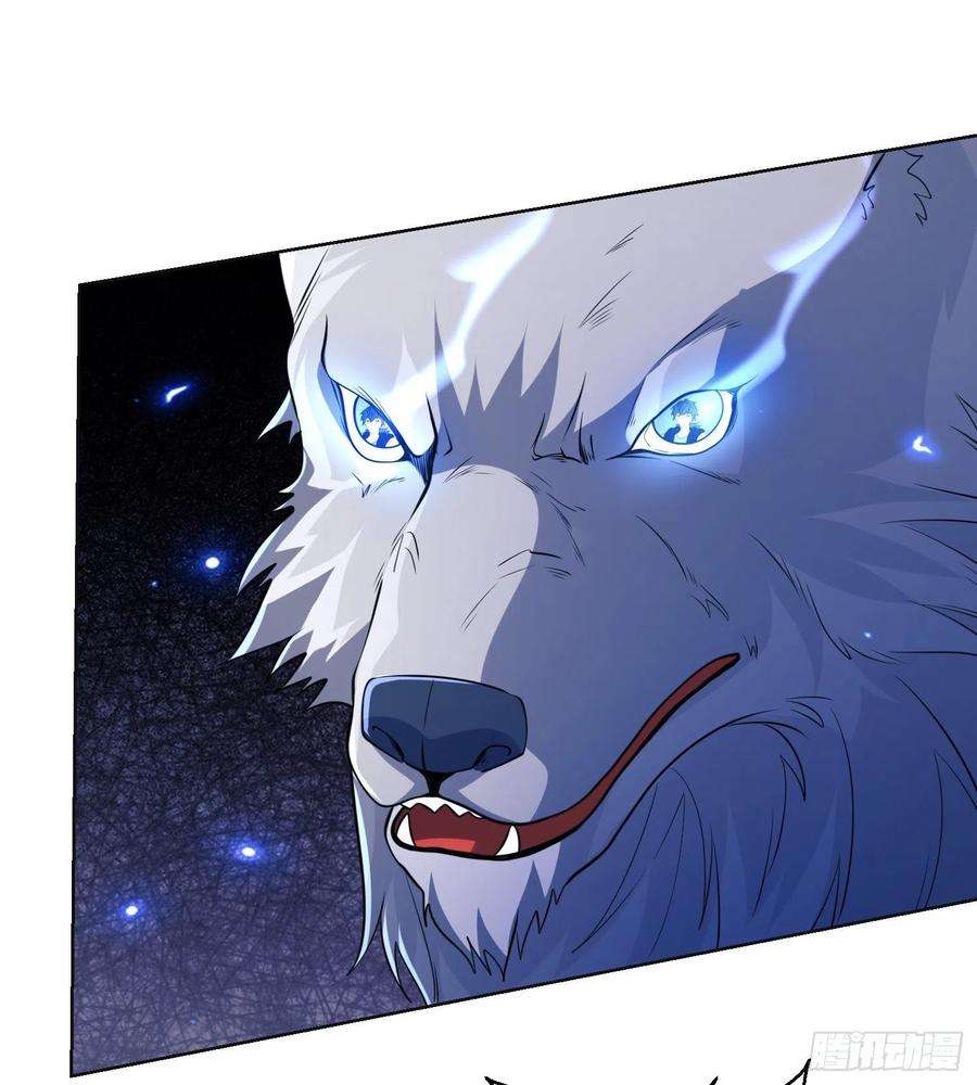 第一序列99 昆山狼王